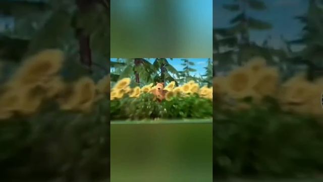 Кто здесь главный по майнкрафту головы на завтрак #майнкрафт #minecraft #shorts #компот