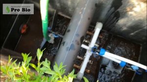 Pro Bio 3 способа обслуживания септиков