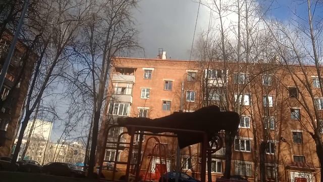 Отжимания от брусьев . Правильные отжимания смотреть онлайн