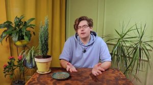 Вырастить тую из семян? Пара пустяков!