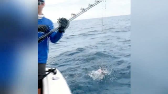 Paul, pull, pull, подробно в #телеграмм канале @fishersmans смотреть онлайн