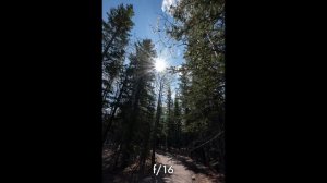 Sigma 17mm f/4 DG DN Review: Honey, I Shrunk the Ultra Wide Lens!