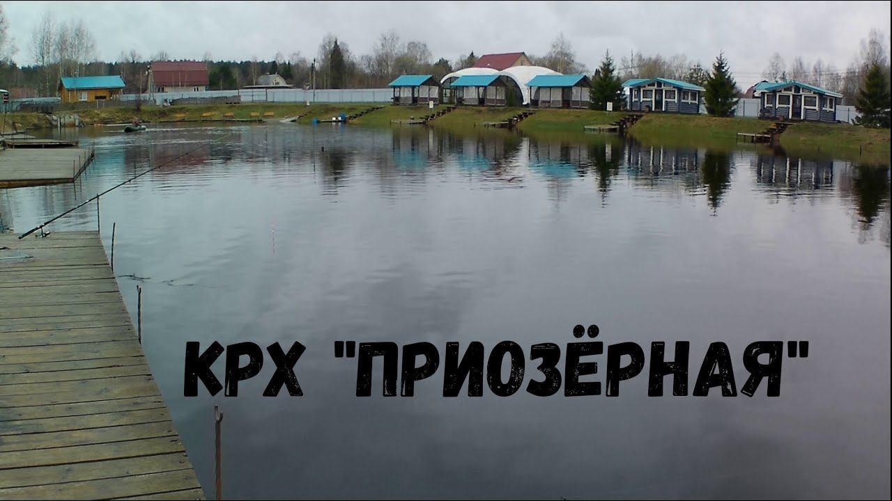Форель, которую так хотелось поймать...
