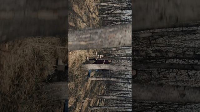 love #shorts смотреть онлайн