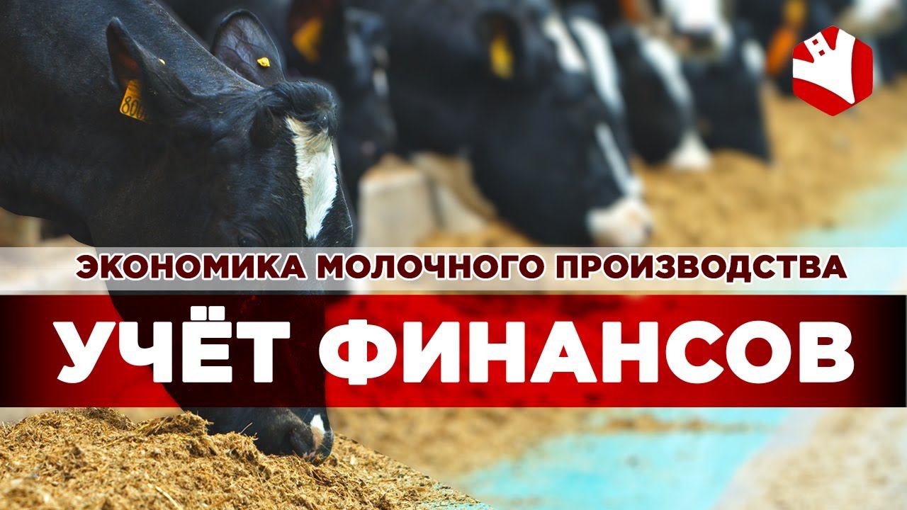 Учет финансов в молочном животноводстве | Экономика молочного животноводства