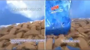 Реклама Losk: Готовим торт с Losk Activ Gel