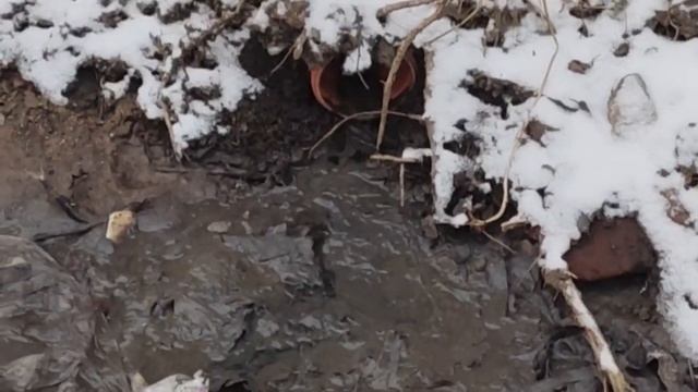 Novo Eko 5. Отзыв владельца смотреть онлайн