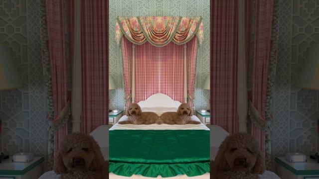 Relaxation time смотреть онлайн