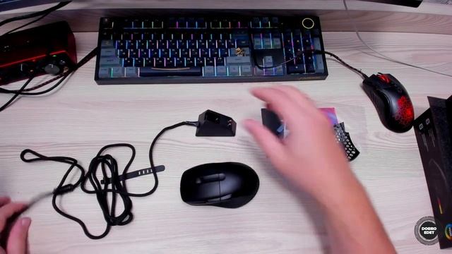 ✅ ОБЗОР ИГРОВАЯ МЫШЬ ARDOR GAMING RAVAGE
