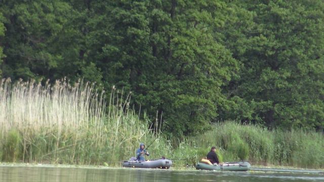 Рыбалка на карася в Августе на поплавок! Зеленоградск смотреть онлайн