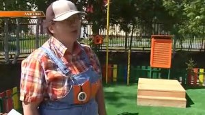 Метеостанция в детском саду