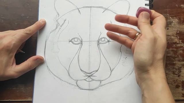 Как нарисовать тигра в карандаше? смотреть онлайн