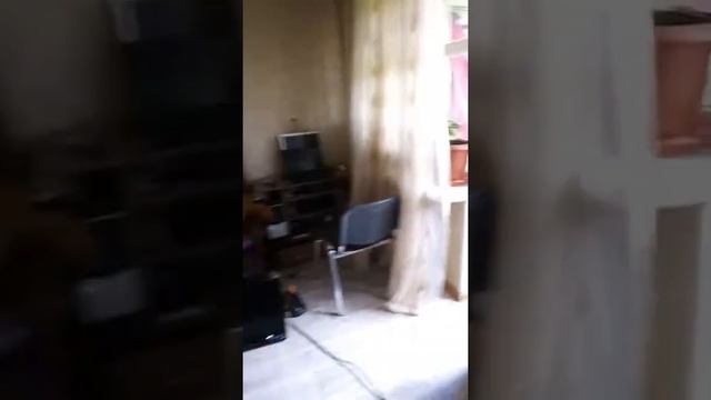 Редкие растения 1