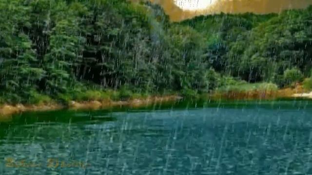 Узоры природы