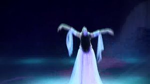 Очень красивый восточный танец - Амира Абди