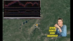 Vesperfin подарок от потока 4 базовый 2018