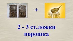 Как применять медведку при лечении туберкулеза легких