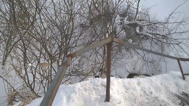 Борисоглебский родник смотреть онлайн