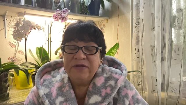 ОРХИДЕИ перед второй обработкой  ПООБЩАЕМСЯ  Ответ на вопрос