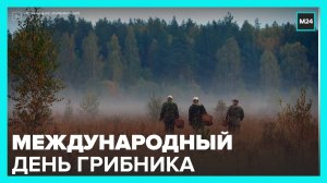 Международный день грибника отмечается 3 октября - Москва 24