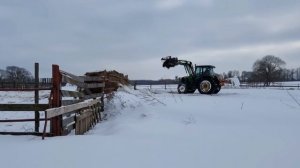 ОБЗОР РАБОТ И ЖИВОТНЫХ кфх Дик. Последние дни января 2022 года...