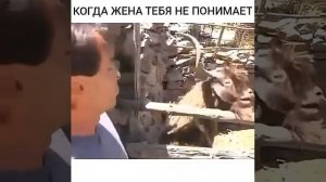 Когда жена тебя не понимает ( ржачь полный)