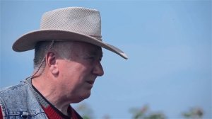 Малина ремонтантная  Выбор сорта и правила агротехники