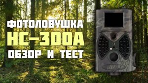 Фотоловушка HC-300A . Обзор и тест.