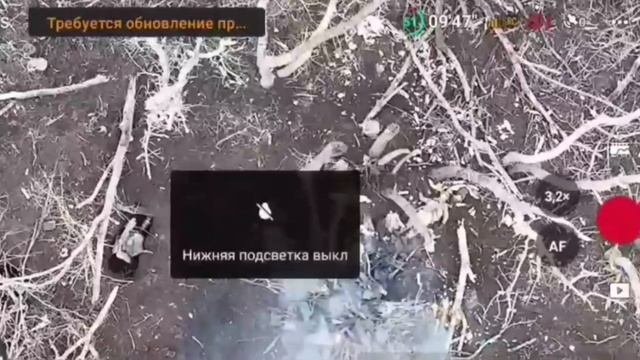 Классическая охота на хохлов