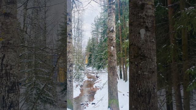 Узнай чувство и отпусти.