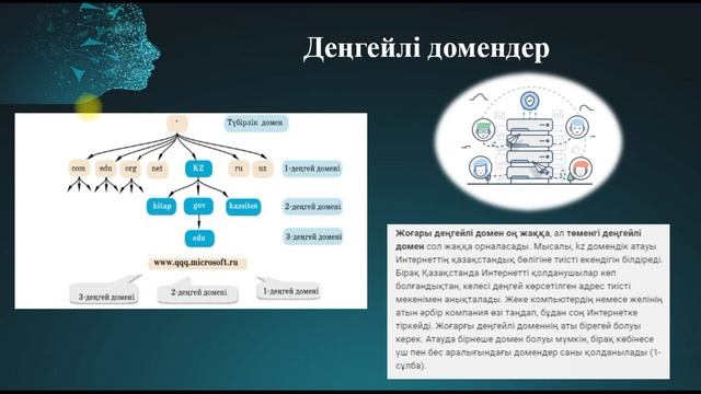 ДОМЕН ЖҮЙЕСІ смотреть онлайн