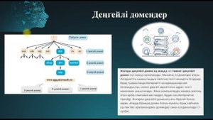 ДОМЕН ЖҮЙЕСІ