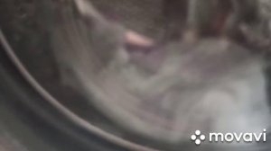 13 января 2021 Совет # 6: Как вывести пятно на белой футболке/ Наш быт / Доместос