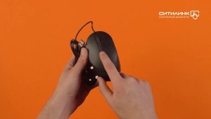 Обзор мыши DELL MS3220 | Ситилинк