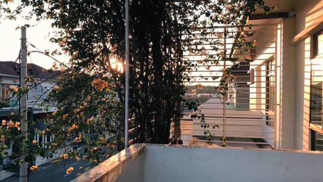 bougainvillea sunset 4k 60p drop 1440 30p смотреть онлайн