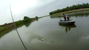 Судак на джиг с отводным, Ахтуба, рыбалка на базе Ахтуба клуб, август 2014