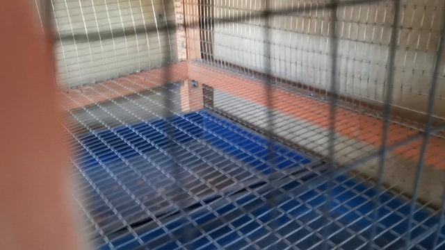 Решила покрасить одно, а перекрасила все что увидела.