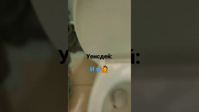 уенсдей в унитаз фанаты лестайте дальше