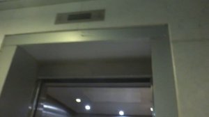 Лифты в переходе около аэропорта Внуково