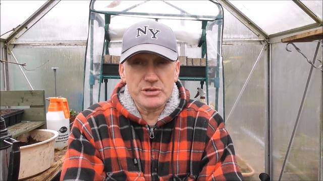 Removing the Dahlias & Planting Strawberry Runners ALLOTMENT DIGGERS 04-11-2016 смотреть онлайн