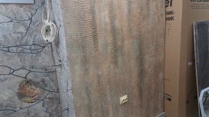 кожа рептилии на стене.mp4