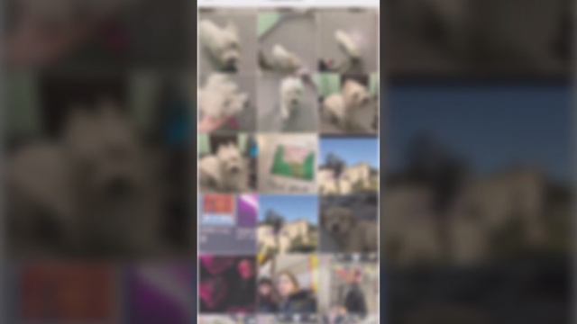 Туториал как поставить фильтр на фото в picsart смотреть онлайн