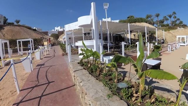 Domina Coral Bay OASIS Garden 5* ПЛЯЖ и ОГРОМНЫЙ ПАНТОН(Декабрь 2018)