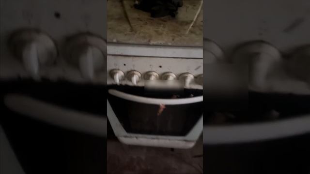 ❗⚡Парни "захватили" украинский дом, сделанный по евростандарту. Электроплита никому не нужна??