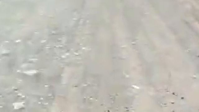 трасса))) брин-наволок - плесецк смотреть онлайн