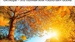 поздняя осень, осенние месяцы