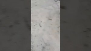 фундамент под подъёмники на СТО