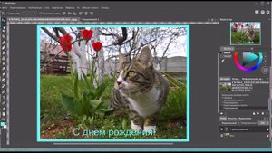 1.1. Особенности применения графического редактора AliveColors