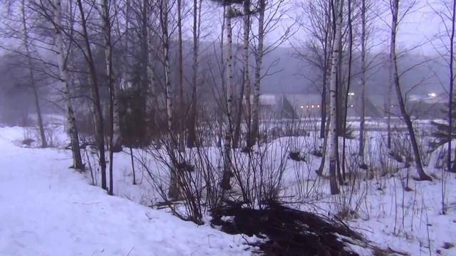 Котка-тренинг. Хотите похудеть? Приглашаем на 8 марта на семинар-праздник. смотреть онлайн