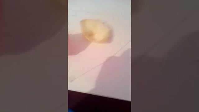 СЕРДЦЕ ИЗ ЛЕПЕСТКОВ РОЗ!!! смотреть онлайн